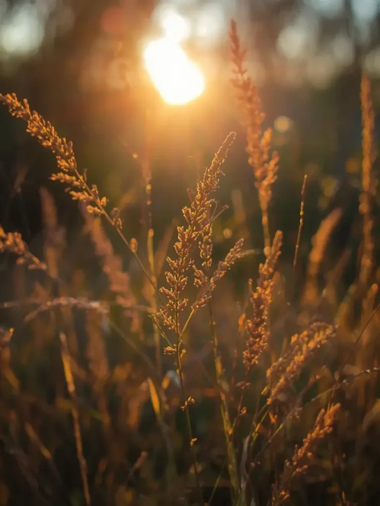 meilleurs accords mets et pates