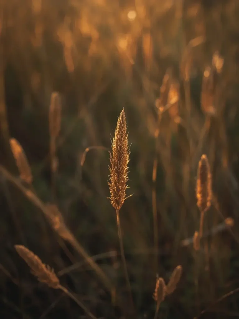 astuces pâtes parfaites rapides