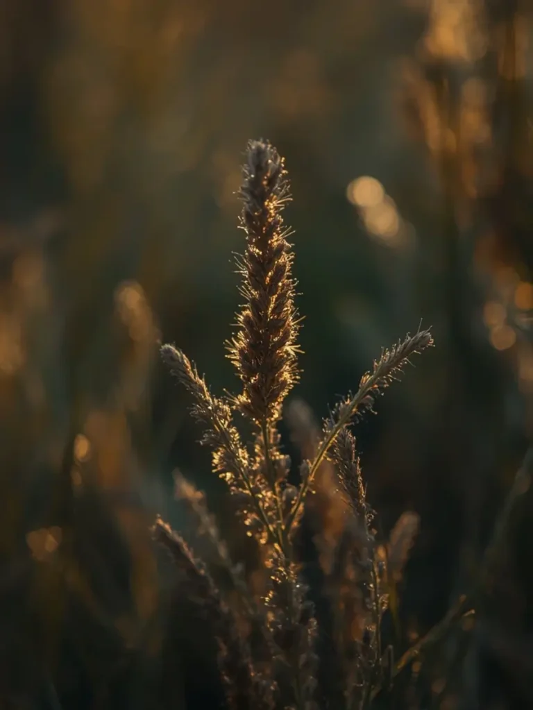 ingrédients essentiels pâtes aglio e olio incroyables