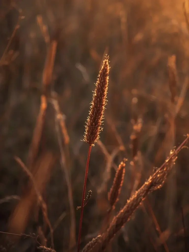 astuces prouvées pâtes champignons