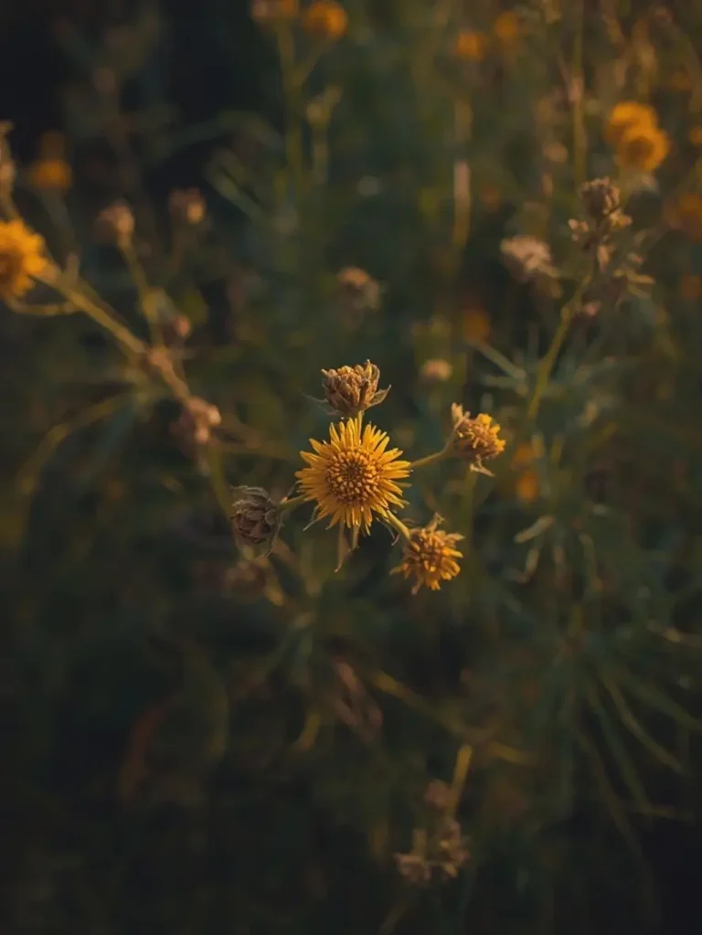 façons réinventer pâtes carbonara facile