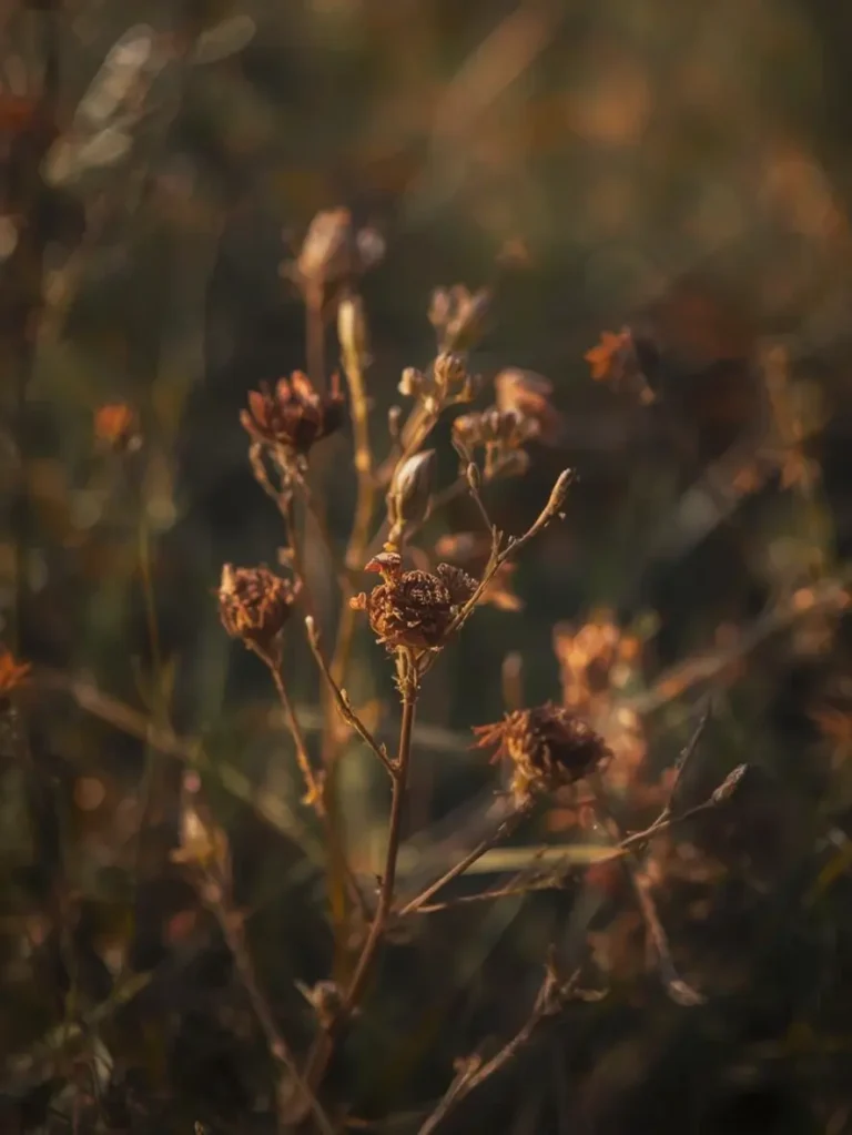 sauces faciles pâtes